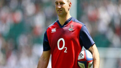steve borthwick