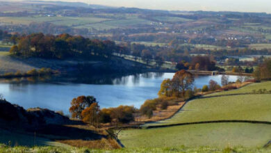 bathgate linlithgow