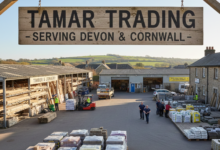 tamar trading