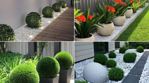 Simple Garden Design