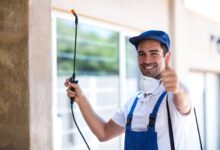 Effective Pest Control Solutions in Nowra NSW Keeping Your Home Safe and Pest-Free