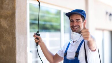 Effective Pest Control Solutions in Nowra NSW Keeping Your Home Safe and Pest-Free