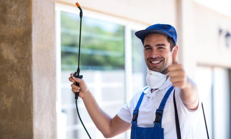 Effective Pest Control Solutions in Nowra NSW Keeping Your Home Safe and Pest-Free