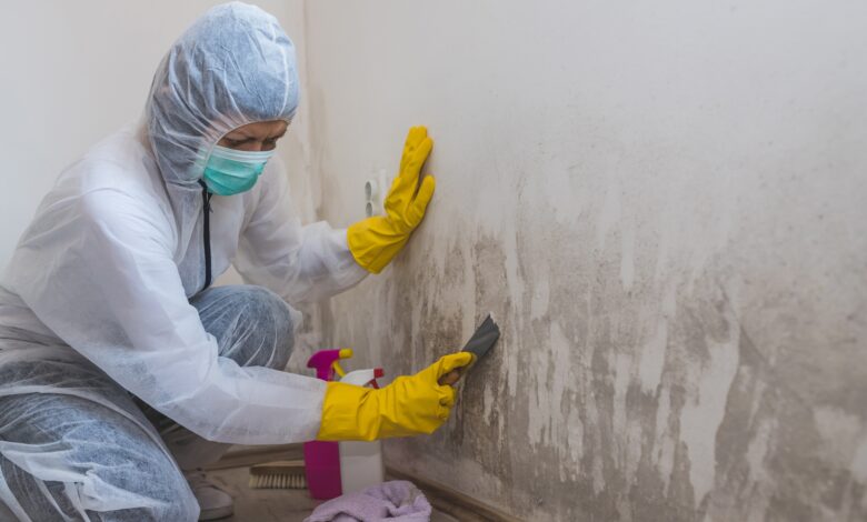 Damp Specialist London A Complete Guide to Identifying, Treating, and Preventing Damp Problems