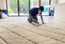 Top Carpet Cleaning Tips for a Spotless Home with Jim's Cleaning