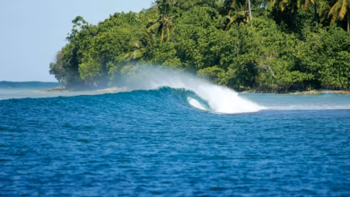 Riding the Waves The Ultimate Guide to Surfing in the Maldives Islands