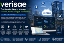 verisae