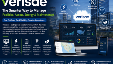 verisae