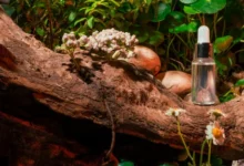 Exploring Top Australian Skincare Brands for Natural Glow