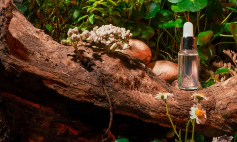 Exploring Top Australian Skincare Brands for Natural Glow