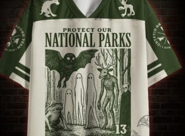 Choosing a Nerdy Mesh Jersey That Reflects Your Interests | Nerdywave