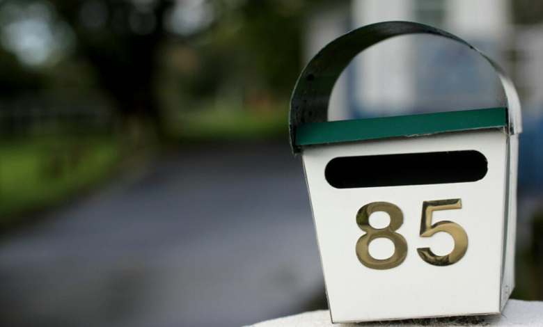 The Importance and Impact of Letterbox Delivery Services in Modern Business
